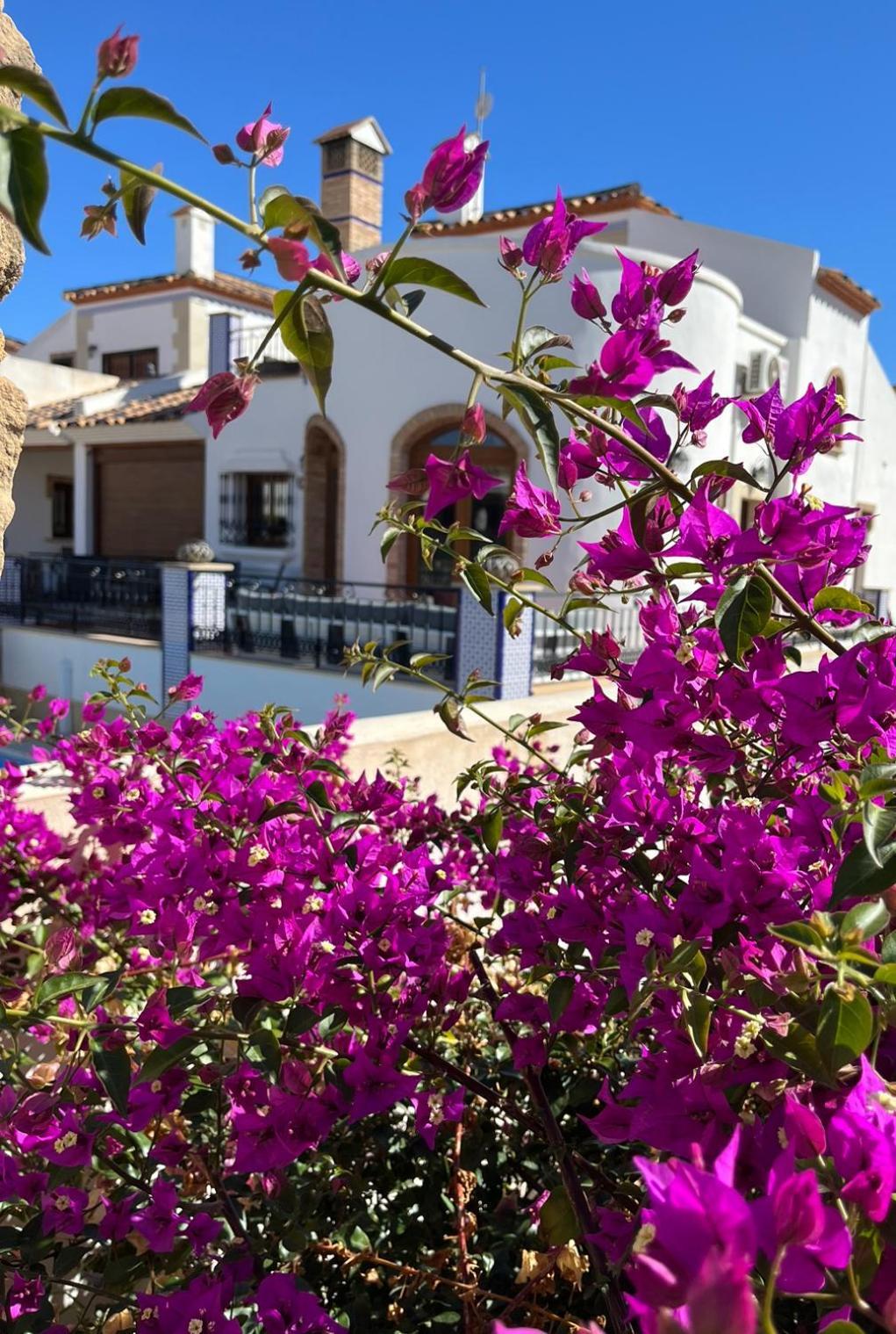 La Torre Alba - La Finca Golf Resort Algorfa Buitenkant foto